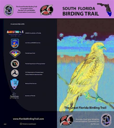 Pdf Great Florida Birding Trail Map South Section Pdfslidenet