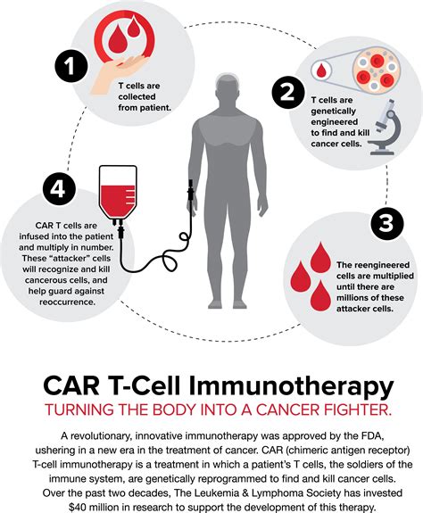 Car T Therapy Ohc Oncology Hematology Care