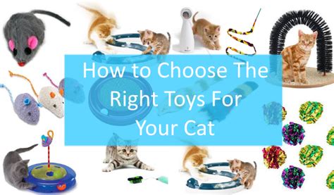 How To Choose The Right Toys For Your Cat