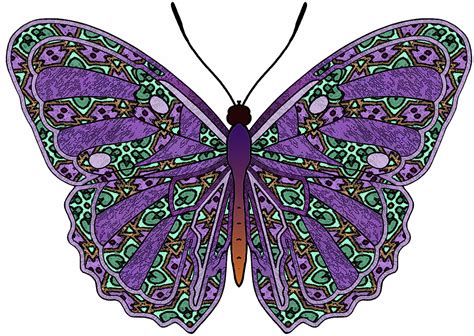 Purple Blue Pink Butterfly Clip Art Library