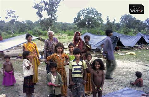 Pardhi Tribe Members Still Roam The Forests Of Madhya Pradesh — As Nature Guides Not Hunters