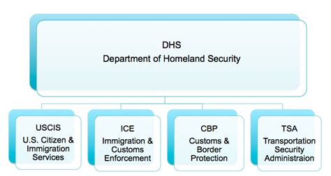 Agencies Of Immigration Dhs Nyc Immigration Law Office Of Rachel