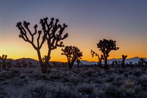 Mojave Desert Sunrise Mojave Desert Ecosystem In Death Val Flickr