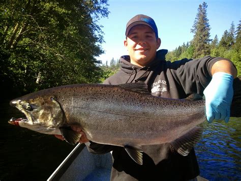 Guided Fishing On The Rogue And Umpqua Rivers For Salmon And Steelhead