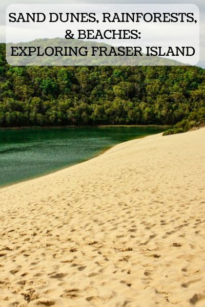 Fraser Island Tour Sand Dunes Rainforests And Beaches Island Tour