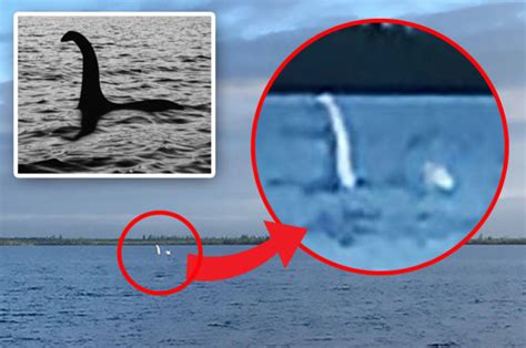 Loch Ness Monster Sighting Nessie Spotted In Lake Khanto Russia