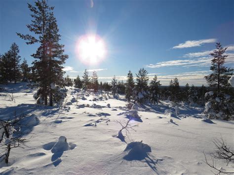 Urho Kekkonen National Park Photo