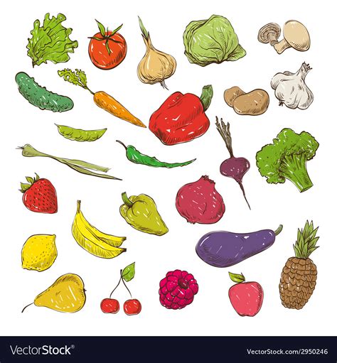 Vegetables And Fruits Drawing Royalty Free Vector Image