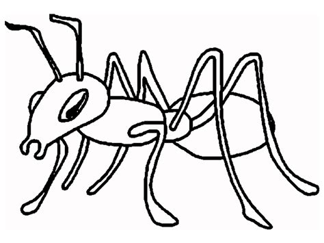 Ant Animals Printable Coloring Pages
