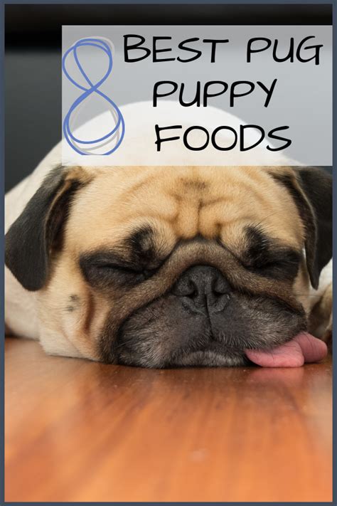 8 Best Pug Puppy Foods With Our 2022 Pug Feeding Guide Best Puppy