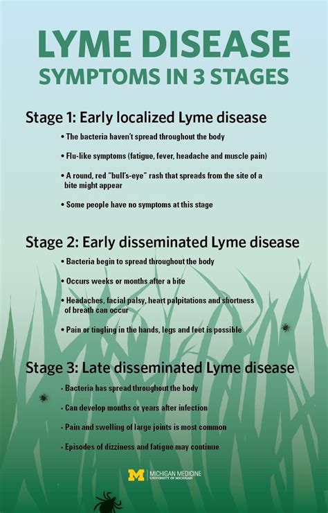 Lyme Disease The Symptoms And Stages You Need To Know Infographic Lyme Disease Awareness