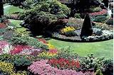 Images of Melbourne Landscape Gardener