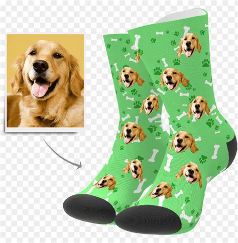 How To Put Socks On A Dog