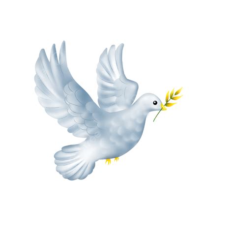 Peace Dove White Transparent A Dove Of Peace With An Olive Branch