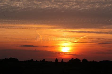 Orange Cloudy Sunset Over Tree Silhouettes Picture Image 82944767