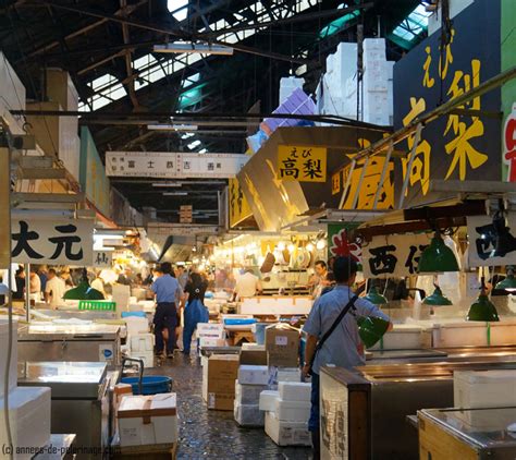 Tsukiji Fish Market Tokyo A Travel Guide