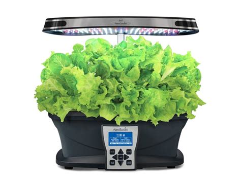 With ideal lighting and optimally balanced levels of water and nutrients, plants grow up to 5 times faster than when grown in soil. AeroGarden Ultra LED with Seed Pod Kit