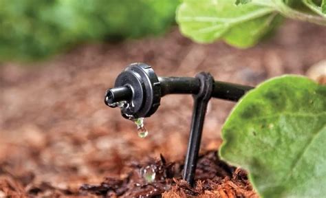 What Is Drip Irrigation