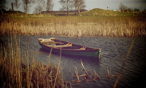 Alone Boat Canoe Lonely Pond Reeds Rowboat Water Hd Wallpaper