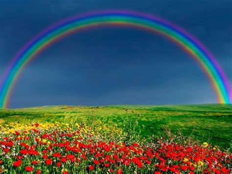 Download Nature Rainbow Wallpaper Hd By Jonmack Rainbow Wallpaper