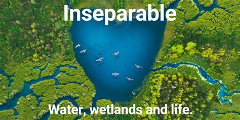 'percent of year' shows the percentage the year is complete at midnight (start of the day). World Wetlands Day 2021 - GWP