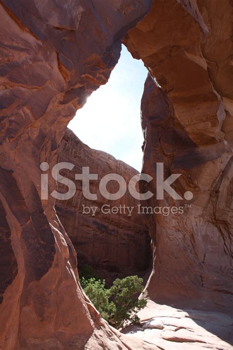 Arch Stock Photo Royalty Free Freeimages