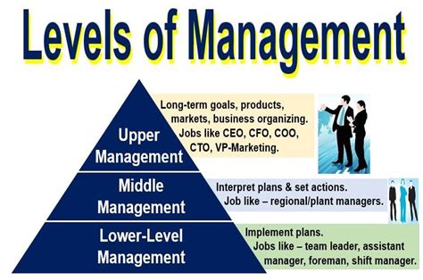 ️ Levels Of Management Levels Of Management With Diagram 2019 02 24
