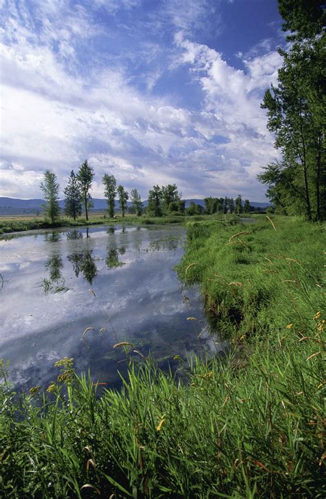 Free Picture National Reserve Landscapes Photo