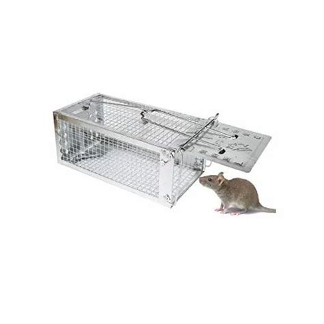 Ss Rat Trap Packaging Type Box At Rs 100piece In Mumbai Id