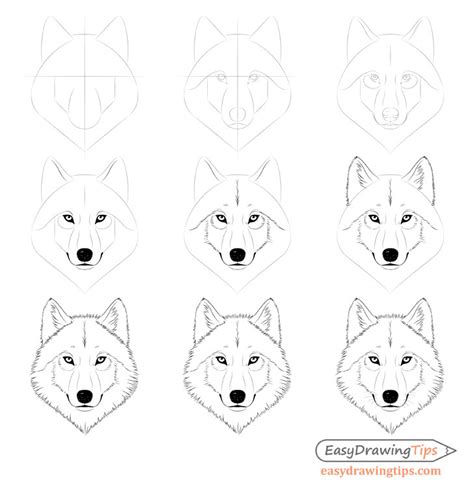 How To Draw A Cute Wolf Easy Images And Photos Finder