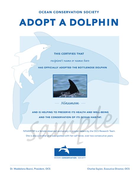 Adopt A Dolphin From Ocean Conservation Society