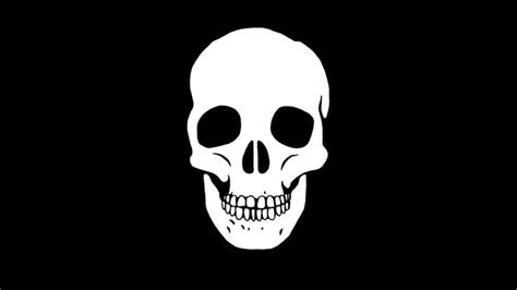 Human White Skull In Loop Rotation On Black Background 2d Animation