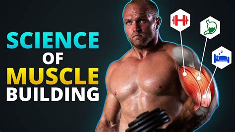 How To Build Muscle Science Explained Youtube