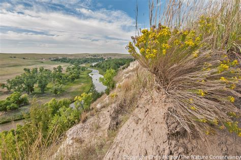 The Niobrara River Cherry County If You Take The Time To Explore