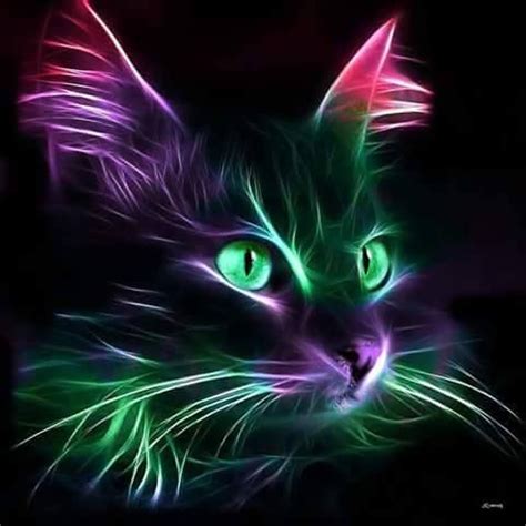 Maybe you would like to learn more about one of these? 157 best images about Neon Animals on Pinterest