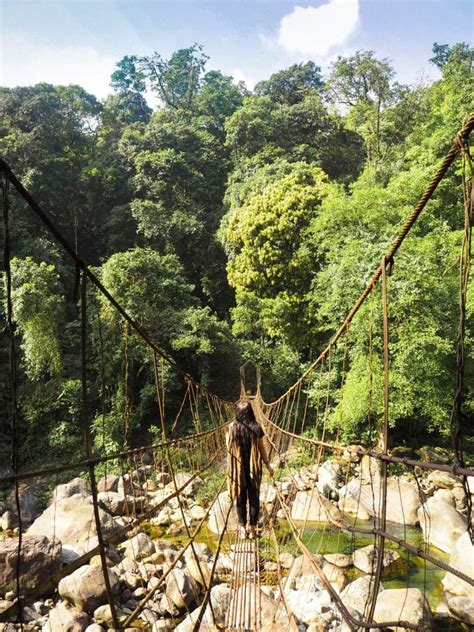 Double Decker Root Bridge An Important Step By Step Trekking Guide For