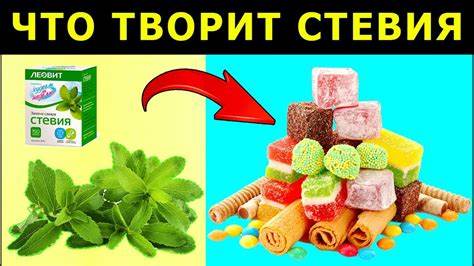 Стевия - польза и вред, сахарозаменитель, подсластитель. Полезные Картинка - Стевия - польза и вред, сахарозаменитель, подсластитель. Полезные