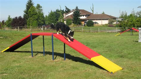 Dog agility equipment is great and can provide incredible amounts of fun for your dog. Dog Walk Ramp