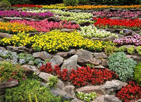 23 Rock Herb Garden Ideas Garden Design