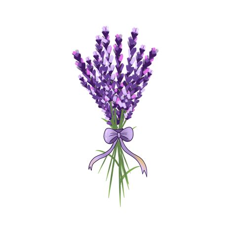 Lavender Bouquet Png Transparent Realistic Illustration Of Lavender