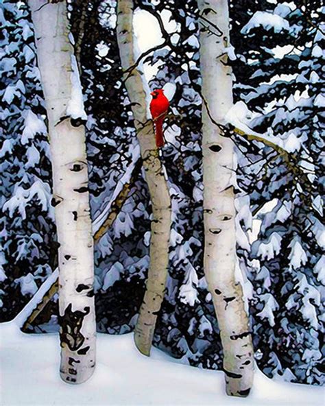 Winter Landscape Birch Trees Bird Red Cardinal Landscape Etsy In 2020