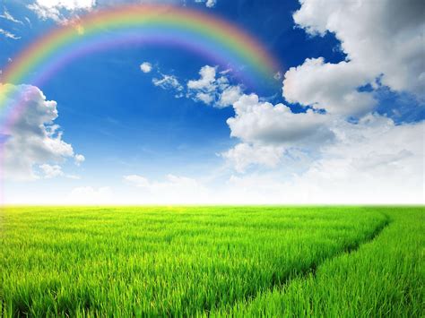 rainbow sky wallpaper