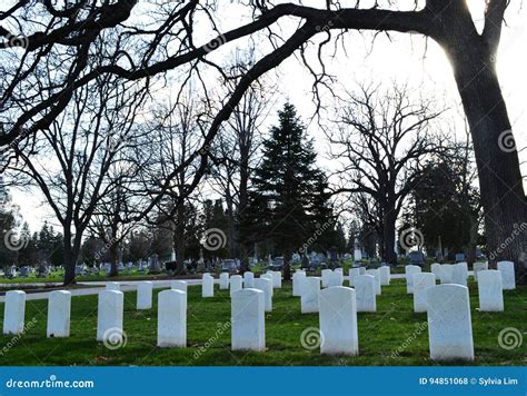 Forest Hill Cemetery Editorial Stock Photo Image Of Forest 94851068