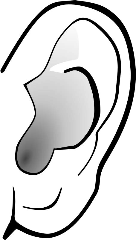 Download Ear Clip Art Free Ear Clipart Transparent Background Png