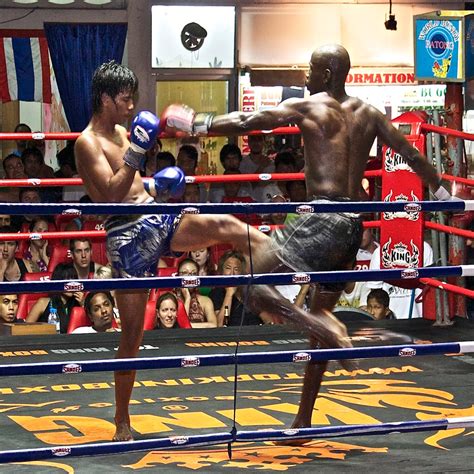tiger muay thai fighters go 3 0 on december 5 2011 in phuket thailand tiger muay thai and mma