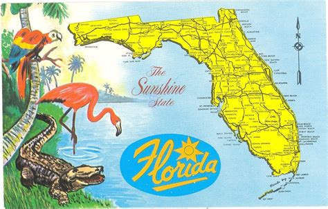 Alligators In Florida Map Printable Maps