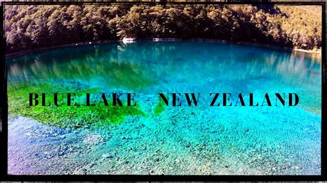 Clearest Lake In The World Blue Lake New Zealand YouTube