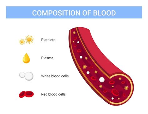 Premium Vector Blood Composition Vector Illustration