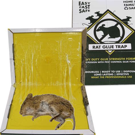 Professional Rat Glue Trap