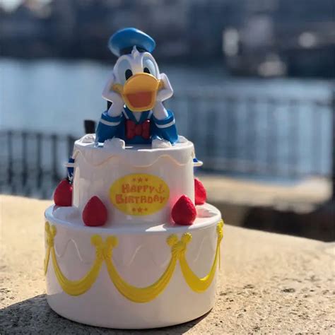 Donald Duck Popcorn Bucket Happy Birthday Cake Tokyo Disney Resort Tdr